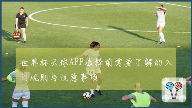 世界杯买球APP选择前需要了解的入门规则与注意事项