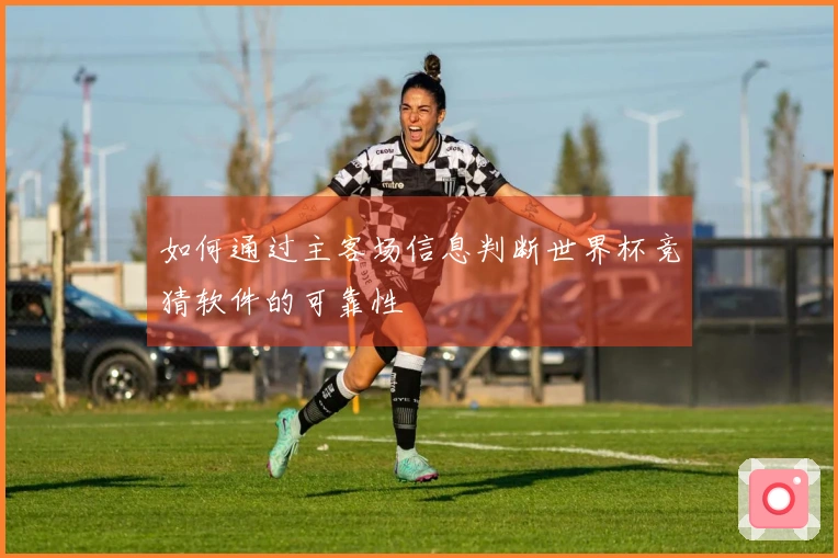 如何通过主客场信息判断世界杯竞猜软件的可靠性